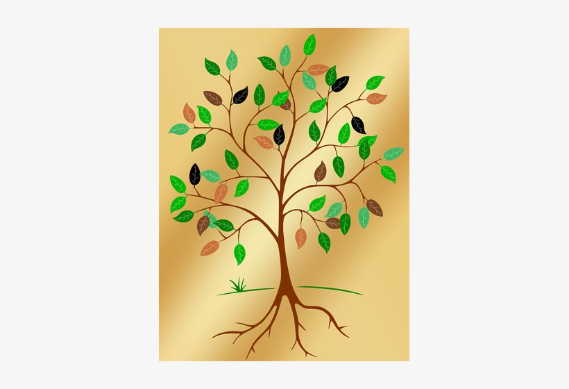 Tree, Root, Leaves, Contour - Tree Of Life Png, transparent png