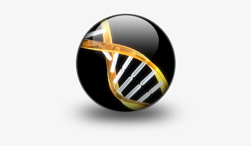 What Do You Think Is The Meaning Of This Magic Dna - Applications Of Magnetotactic Bacteria, transparent png
