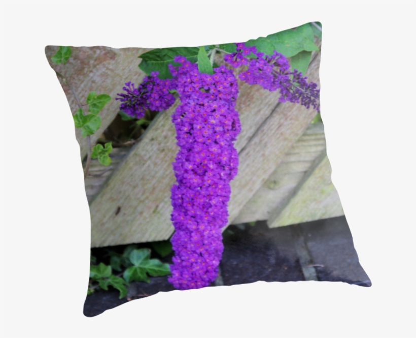 Purple Pleasure" Throw Pillows By Francis Drake - Cushion, transparent png