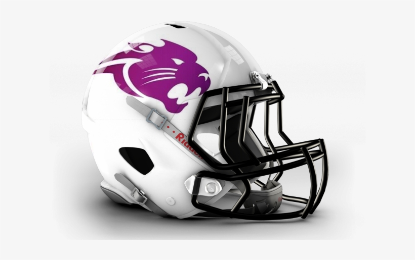 Brighton Panthers Seek New Head Coach - Nfl Stars War Helmet, transparent png