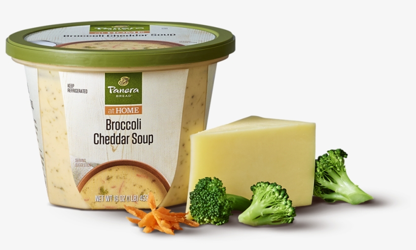 Panera Bread Broccoli Cheddar Soup - 16 Oz Cup, transparent png