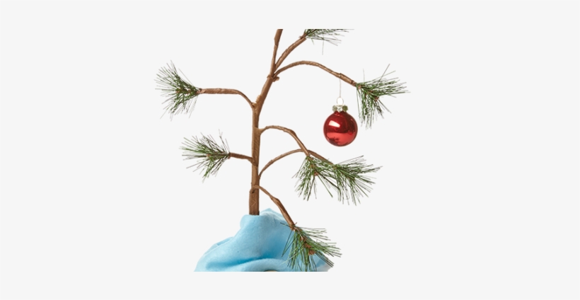 Christmas Day, transparent png