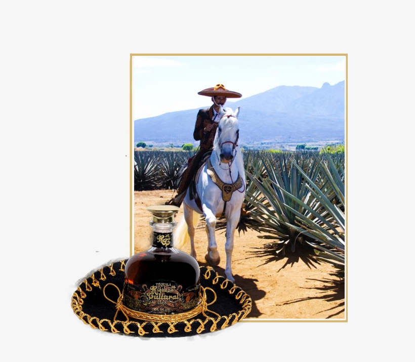 Techarro - Tequila Jalisco, transparent png