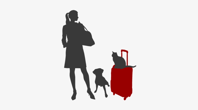 Pet Sitting - 2009 Mtv Video Music Brazil, transparent png