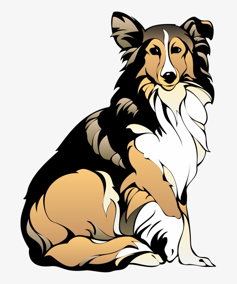 How To Set Use Sitting Collie Clipart - Collie Dog Clip Art, transparent png