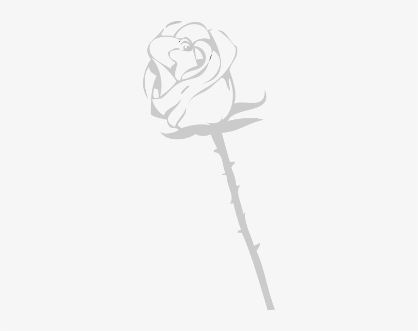 Sketch, transparent png
