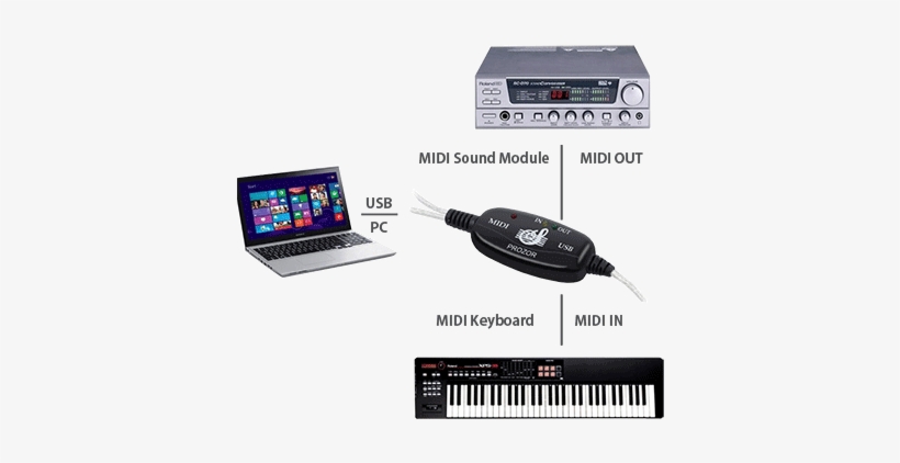 Interfacing A Midi Keyboard, Module, And Pc - Sony Vaio T Series Svt15115cxs 15.5″ Ultrabook - Core, transparent png