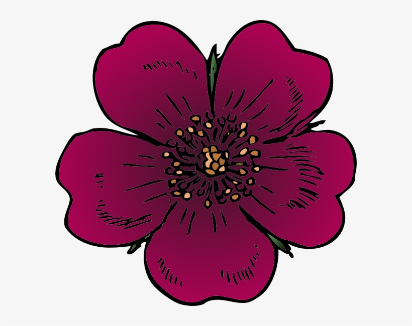 Wild Rose Clipart Png For Web - Clip Art, transparent png