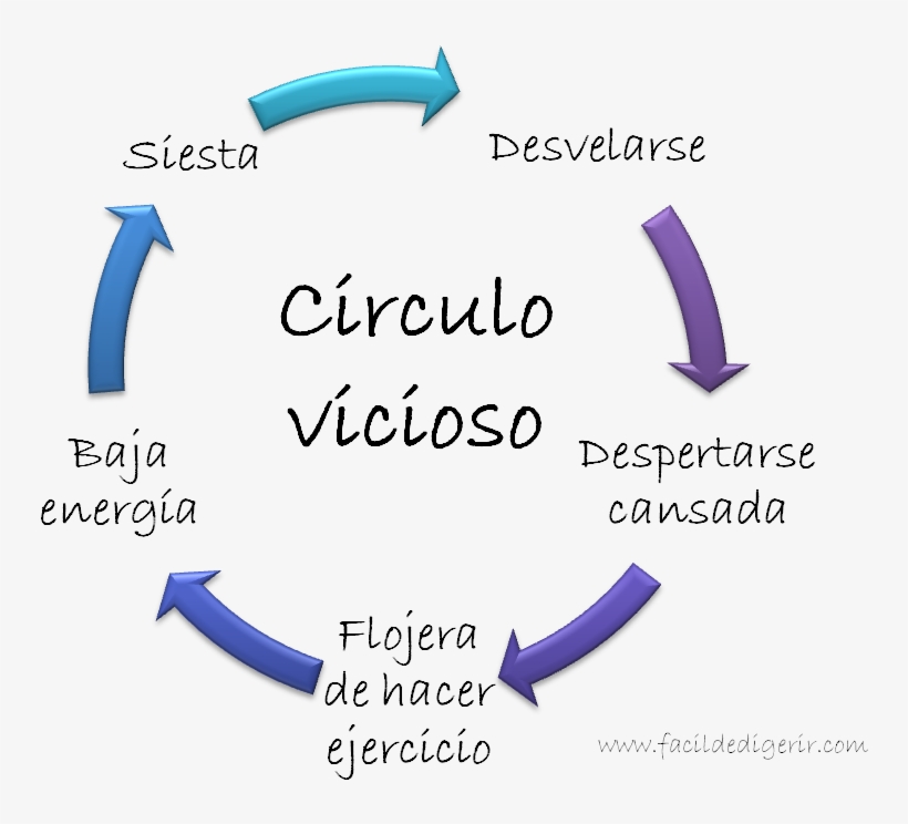 Circulo-vicioso - 5 Elements Of Financial Statements, transparent png