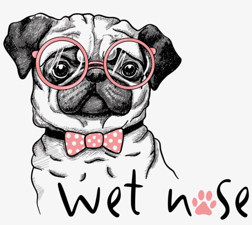 Wet Nose Boxes Come With All Natural Dog Treats And - Pug With Sunglasses Drawing, transparent png