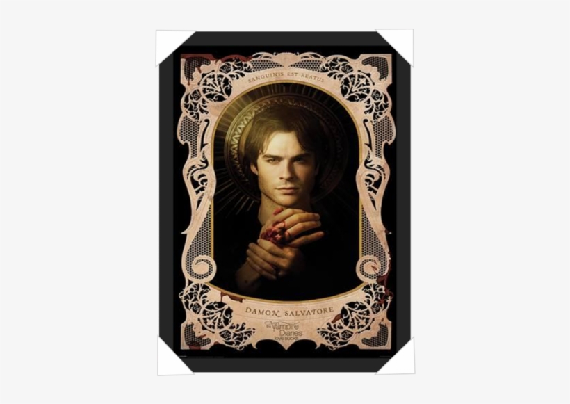 #25 - Vampire Diaries Posters Damon, transparent png