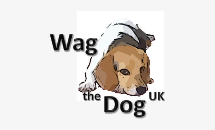 Source For Dog Friendly Travel, Tasty Home Made Dogfood, - Tail Wagging By Dogs, transparent png