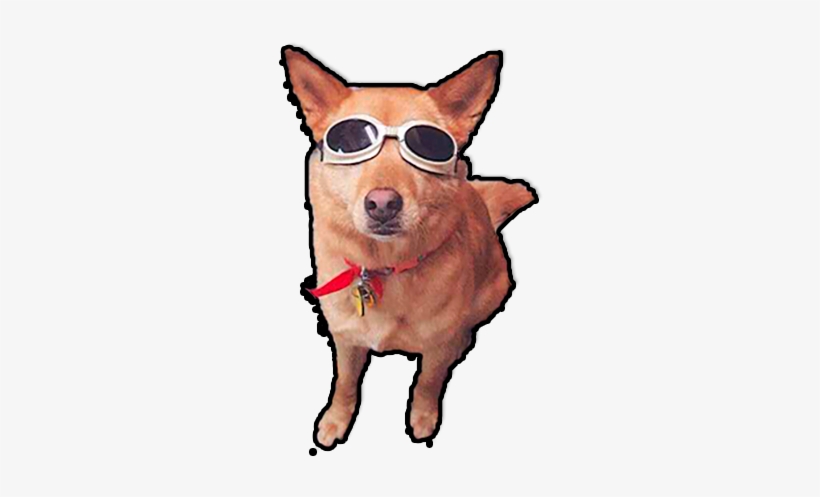 Dog Yawns, transparent png