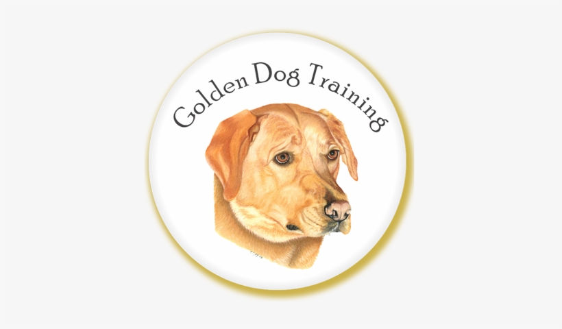 How Their Dog's Mind Works - Website, transparent png