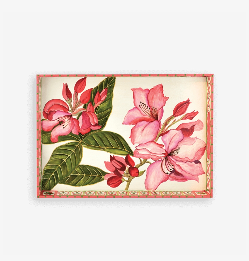 Lac-50 Rhododendron - Rhododendron, transparent png