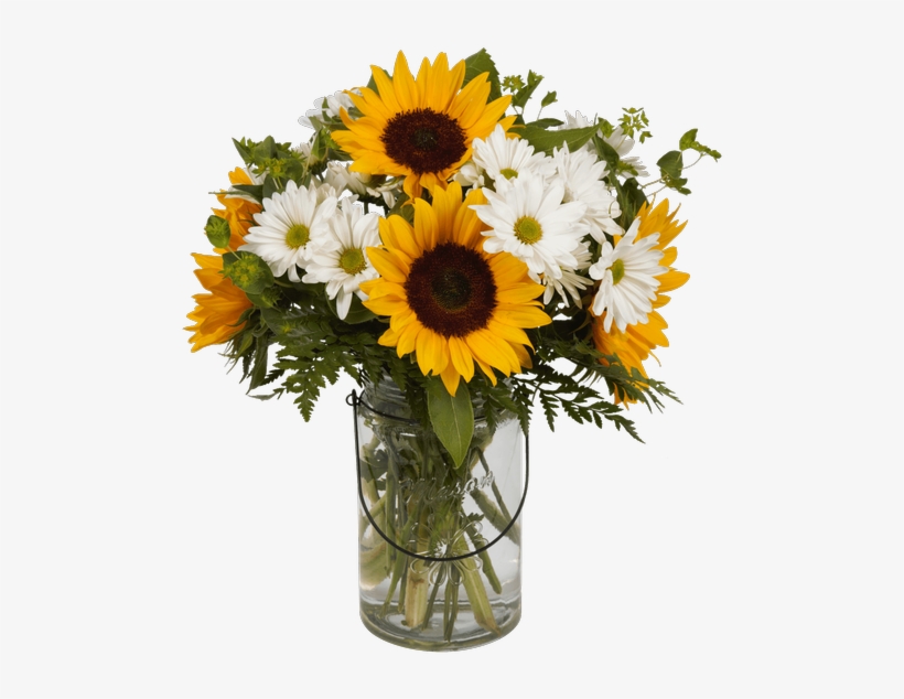 Summer Sun - Product, transparent png