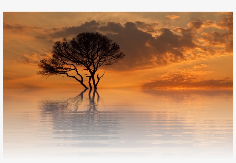 Sun, Sunset, Summer, Nature, Dusk, Scenic, Late Summer - Senja Png, transparent png