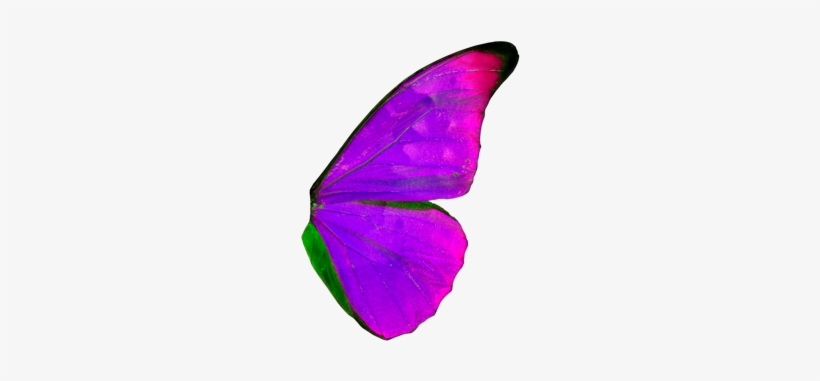 Right Wing Of A Butterfly, transparent png