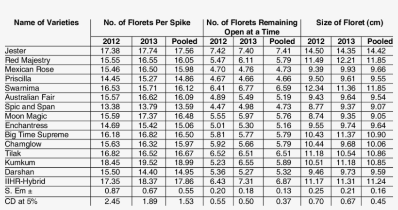 Performance Of Gladiolus Cultivars On No - Große 1x1 Mit Lösung, transparent png