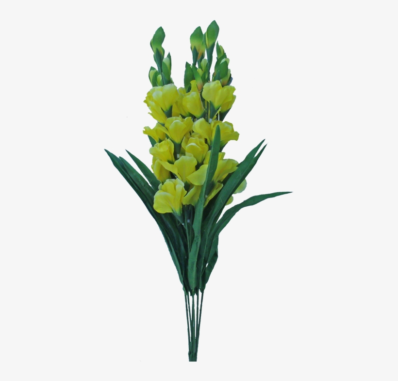 28” Deluxe Gladiola Bush Yellow - Yellow Iris, transparent png