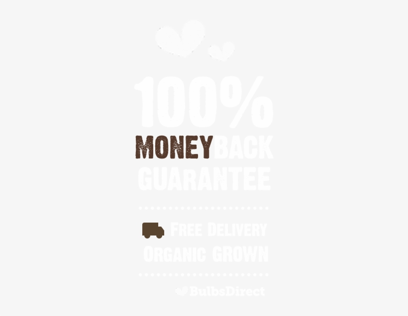 Buy Plants And Bulbs Safe Wuth Guarantee Online - Practical Guide To Success In Network Marketing, transparent png