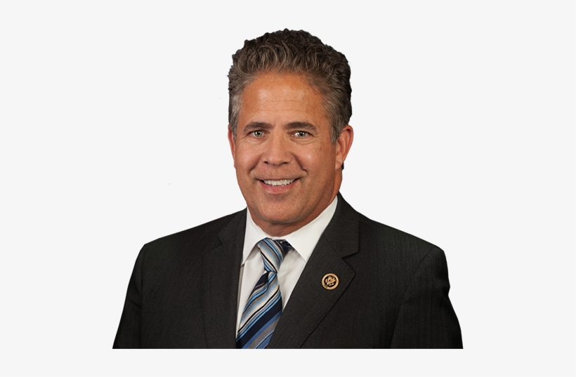 United States Congress - Elissa Slotkin, transparent png