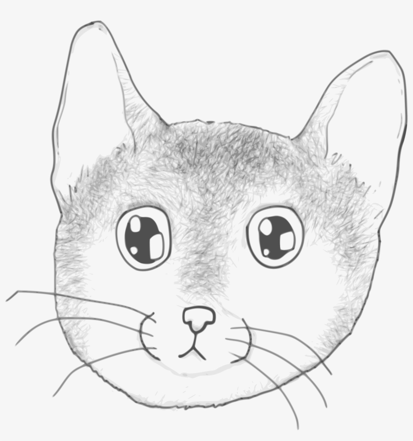 This Free Icons Png Design Of A Stripped Kitten Face, transparent png