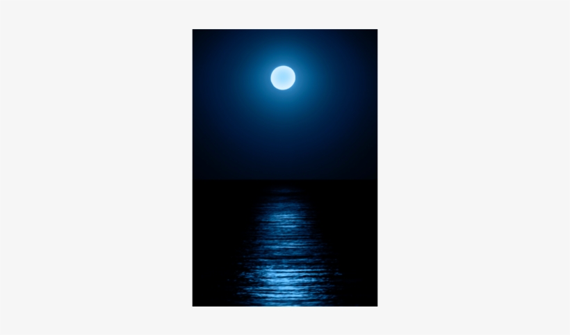 Moon - Night Of The Moonflower [book], transparent png