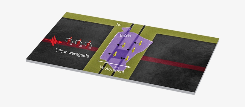 Reversing The Direction Of The Light Reverses Both - Electric Current, transparent png