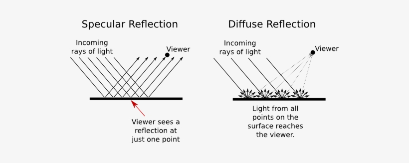 1 Light And Material - Specular Reflection, transparent png