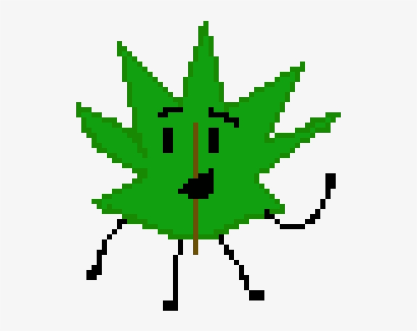 Pine Needle - Portable Network Graphics, transparent png