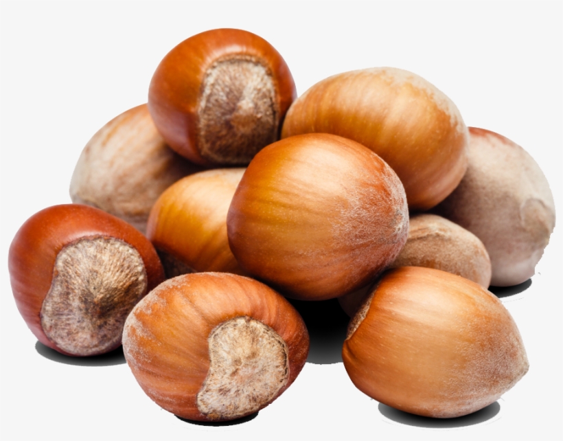Hazelnut Storage - Hazelnut, transparent png
