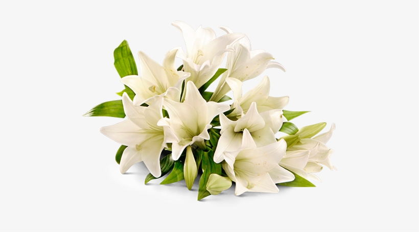 Place - Rest In Peace Flower Png, transparent png