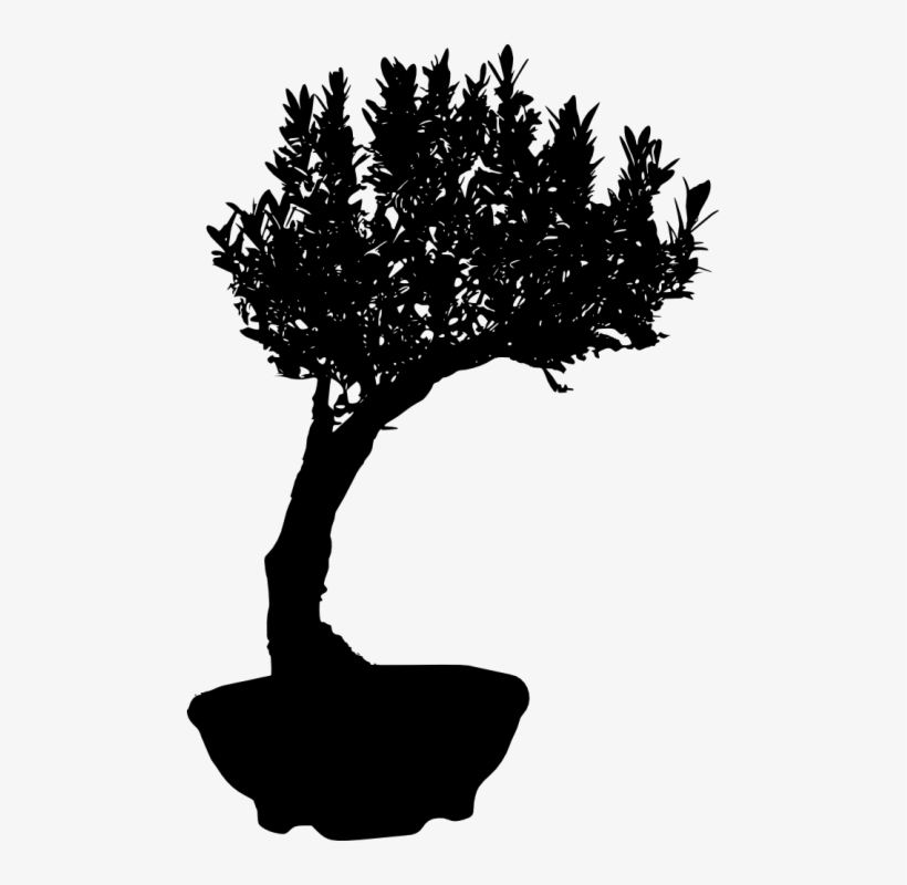 Free Png Bonsai Silhouette Png Images Transparent - Portable Network Graphics, transparent png