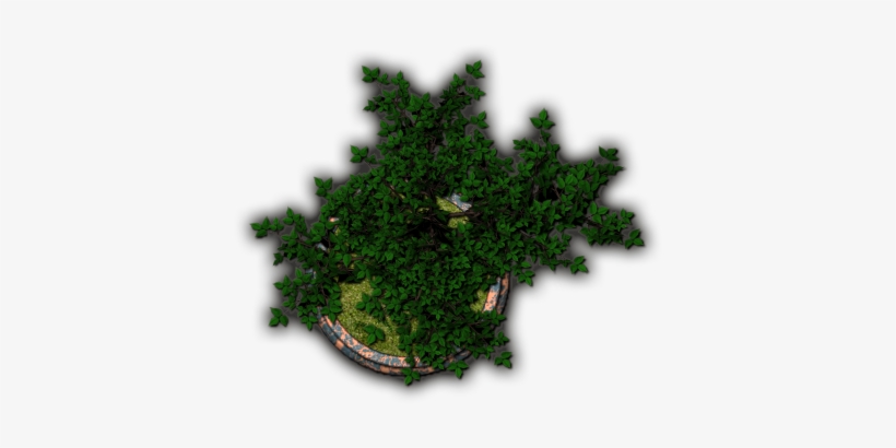 Bonsai6 - Grass, transparent png
