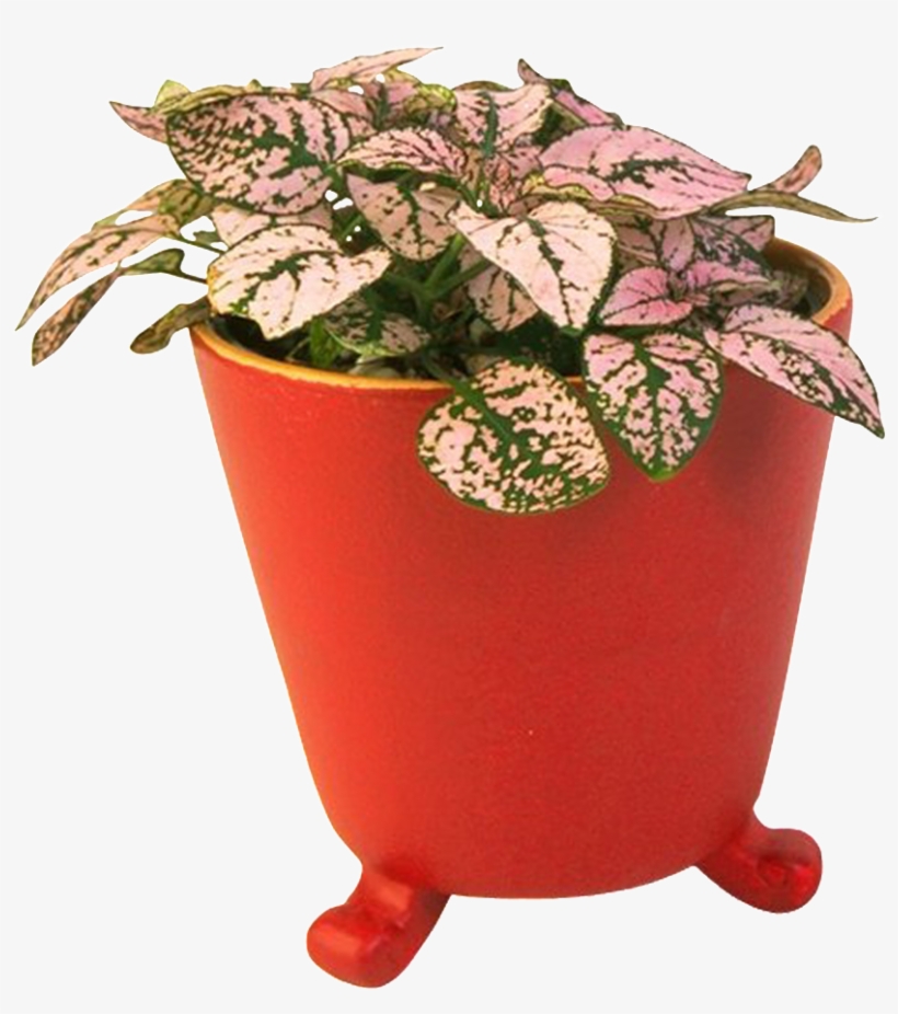 Beautiful Creative Flower Pot Bonsai Green Plant Vector - Zhch 3-tier Elegant Classical Design Plant Stand With, transparent png