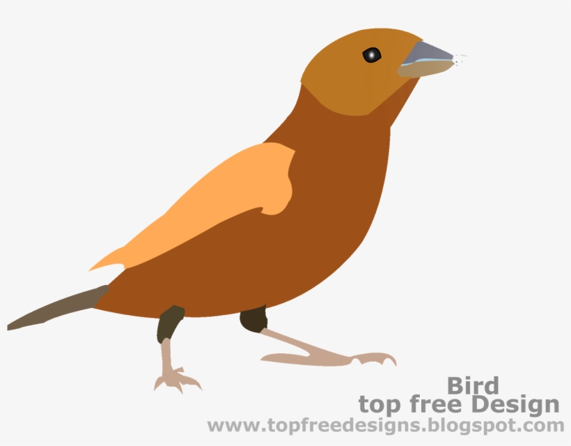 Bird Clipart - Freedom Leisure, transparent png