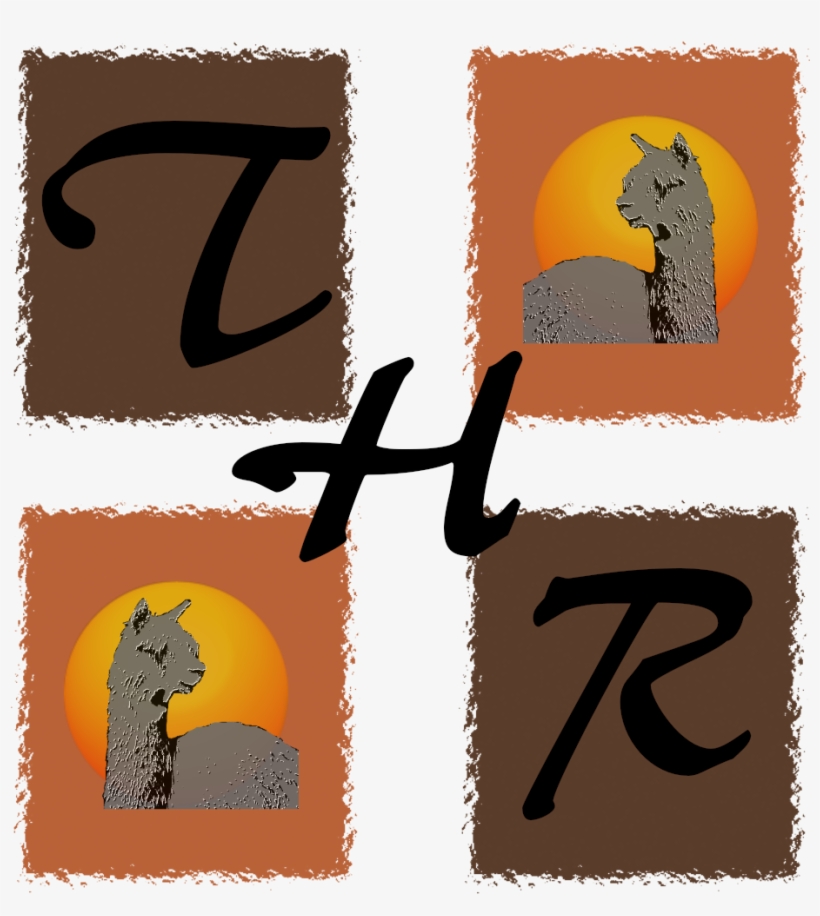 Triple H Ranch - Squirrel, transparent png