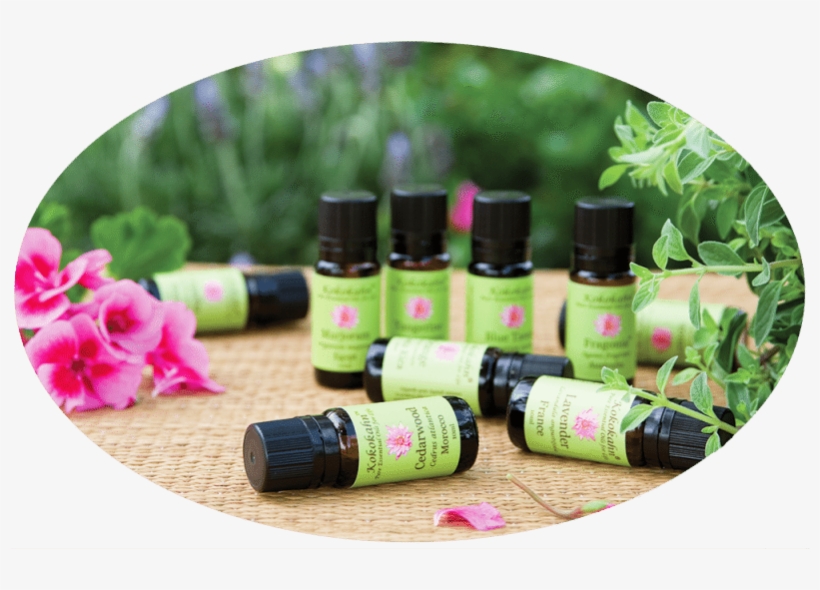 Essential Oils For Cold And Flu Season - Foot, transparent png