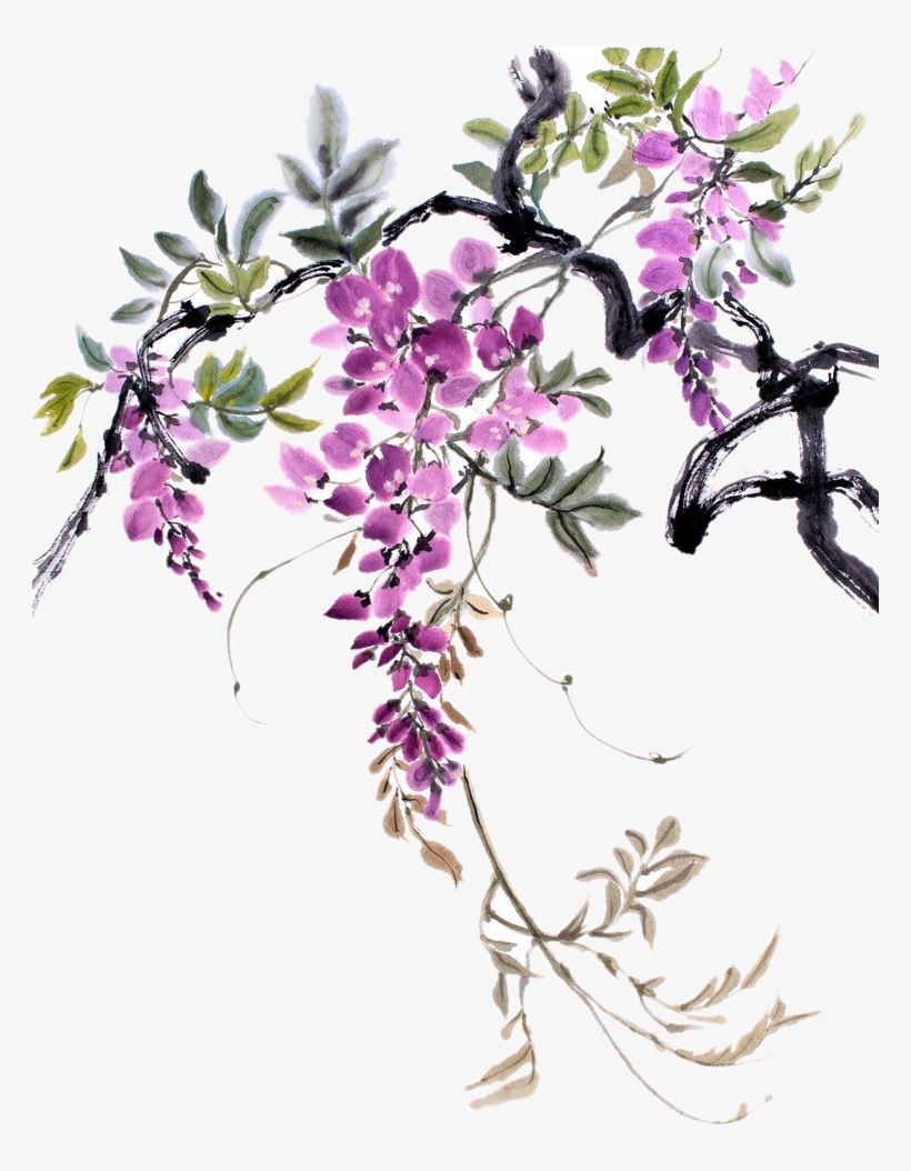 Vines Png Images - Chinese Watercolor Wisteria, transparent png
