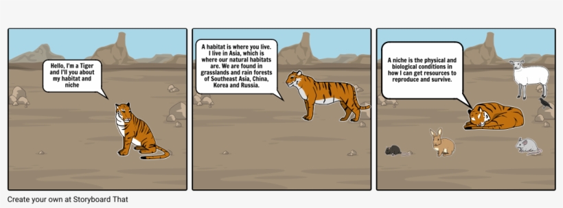 Bio Project On Tiger - Tiger, transparent png