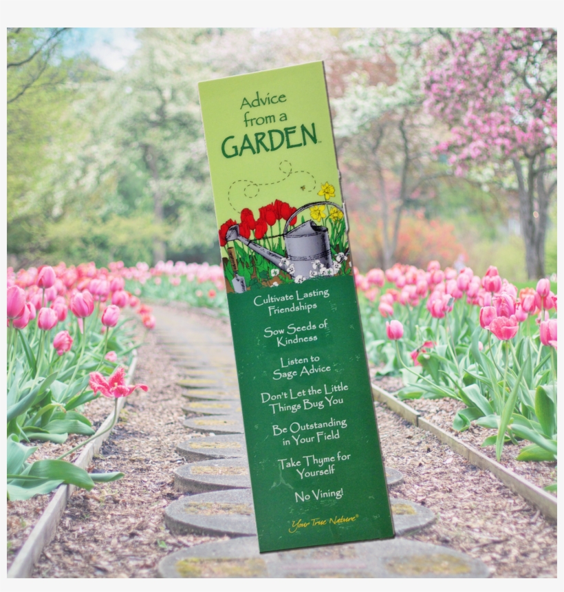 Advice From A Garden Bookmark - 5x10 Wood Sign Advice From A... Advice, transparent png