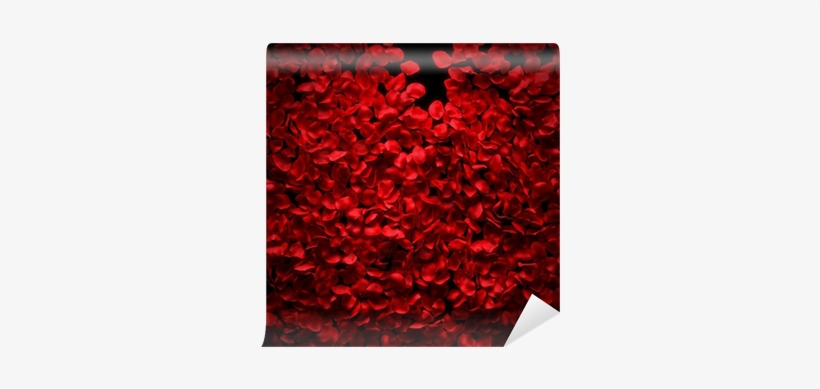 Rose Petals Background On Black Ground Wall Mural • - Petal, transparent png