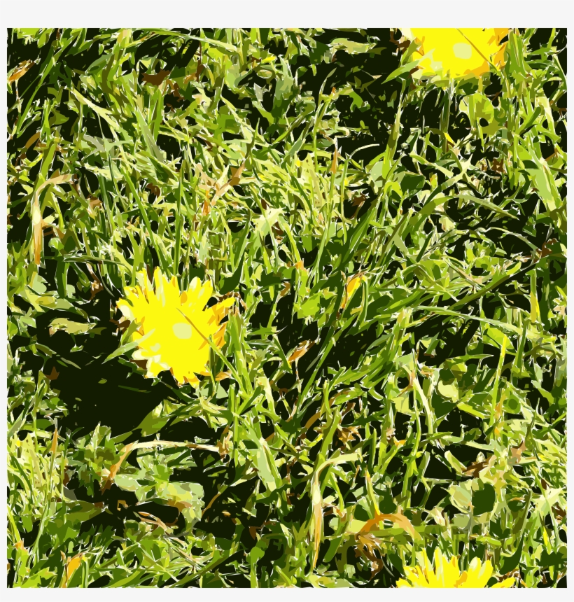 Computer Icons Download Lawn San Francisco Herbaceous - San Francisco, transparent png