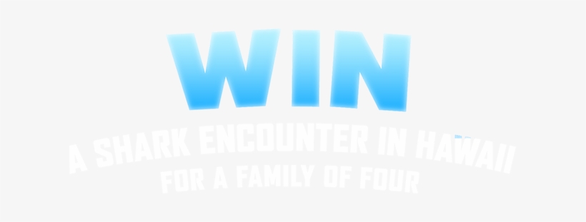 We're Sorry - Graphic Design, transparent png
