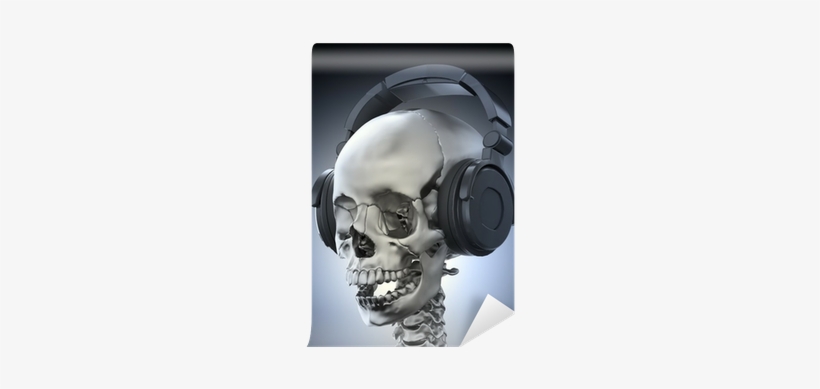 Skull, transparent png