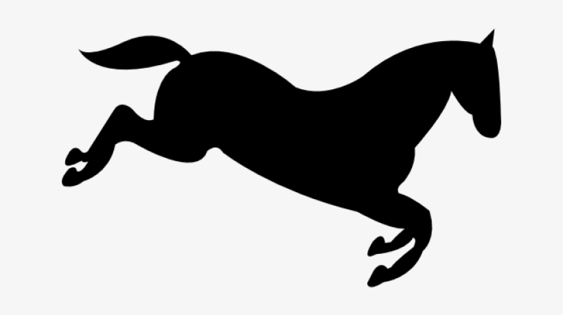 Horse, transparent png