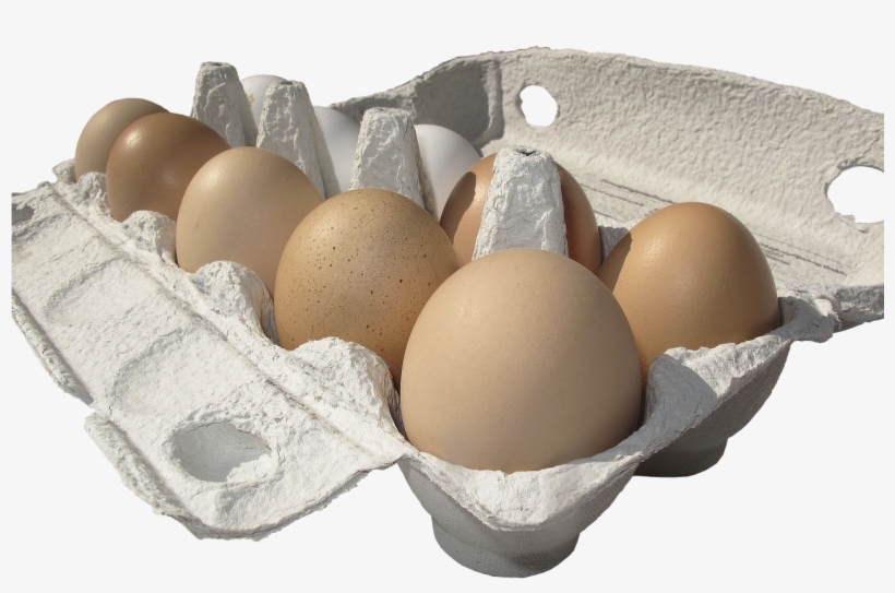 Egg Carton Easter - Egg, transparent png