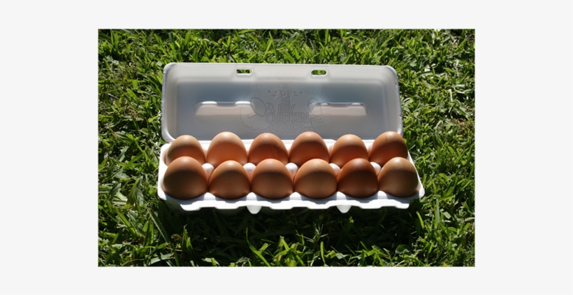 Carton Of Eggs Png Download - Grass, transparent png