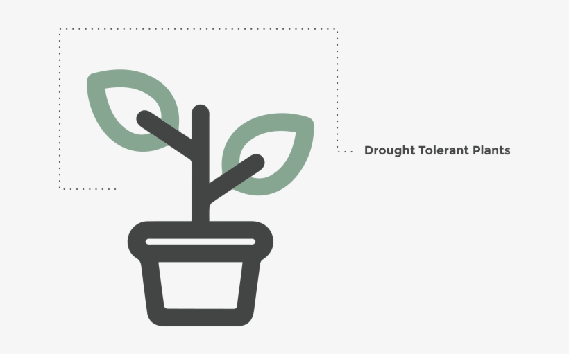 10 Am 16533 Toilets - Houseplant, transparent png